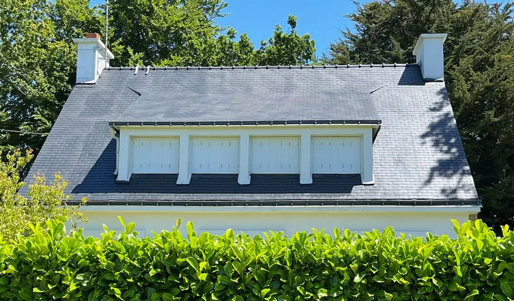 demoussage toiture